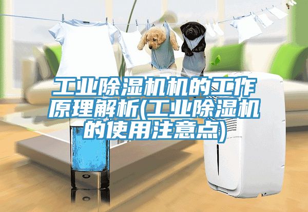工業蘑菇视频网站機的工作原理解析(工業蘑菇视频网站的使用注意點)