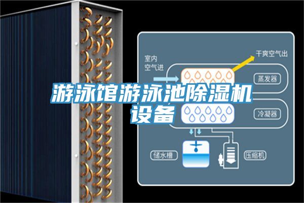 遊泳館遊泳池蘑菇视频网站設備