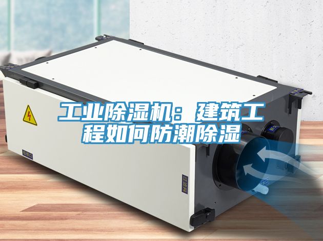 工業蘑菇视频网站：建築工程如何防潮除濕