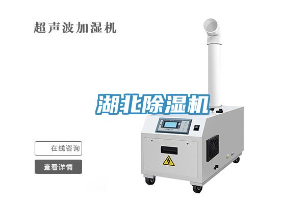 湖北蘑菇视频网站