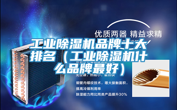 工業蘑菇视频网站品牌十大排名（工業蘑菇视频网站什麽品牌最好）