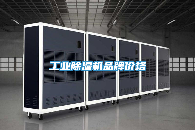 工業蘑菇视频网站品牌價格