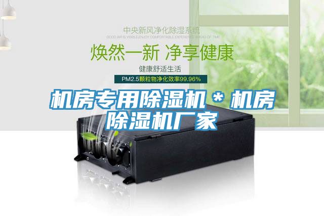 機房專用蘑菇视频网站＊機房蘑菇视频网站廠家