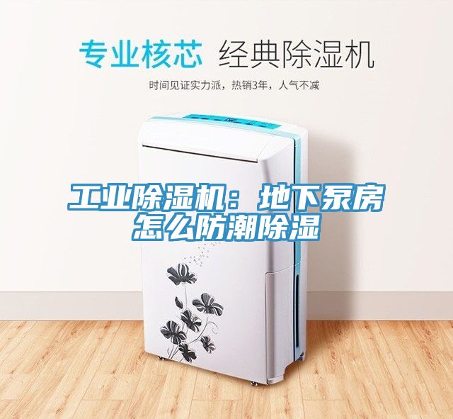 工業蘑菇视频网站：地下泵房怎麽防潮除濕