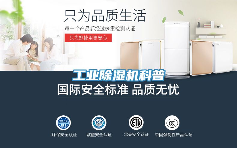 工業蘑菇视频网站科普