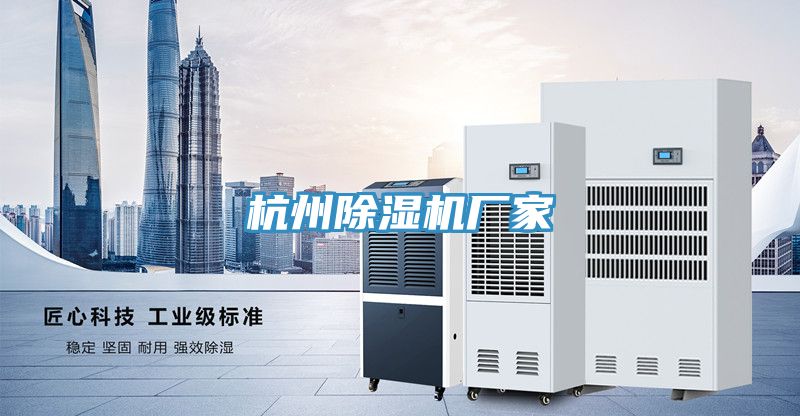 杭州蘑菇视频网站廠家