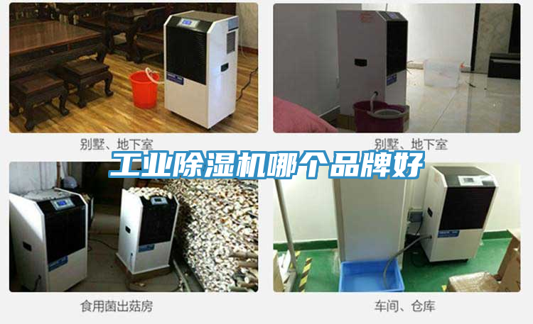 工業蘑菇视频网站哪個品牌好