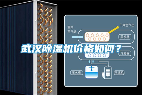 武漢蘑菇视频网站價格如何？