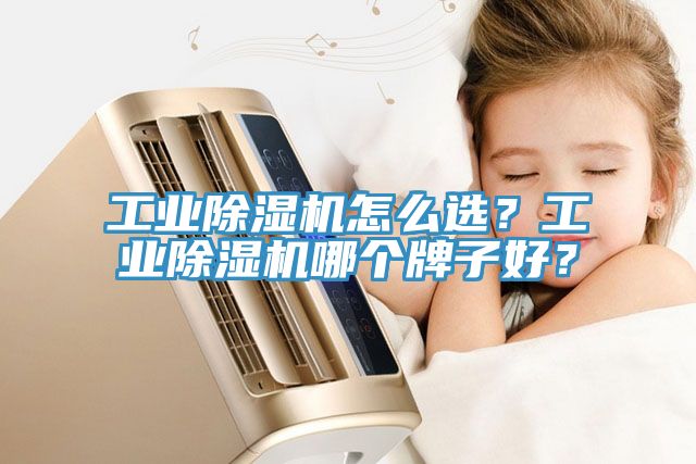 工業蘑菇视频网站怎麽選？工業蘑菇视频网站哪個牌子好？