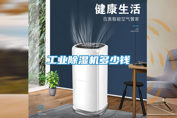 工業蘑菇视频网站多少錢