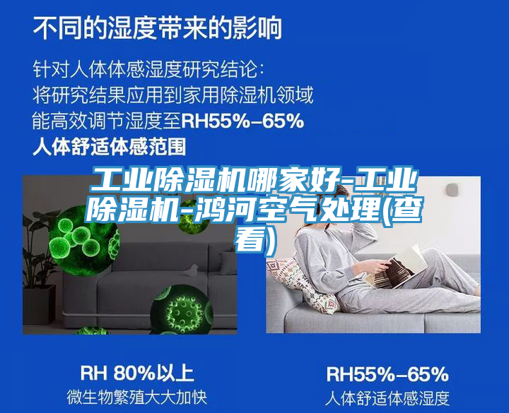 工業蘑菇视频网站哪家好-工業蘑菇视频网站-鴻河空氣處理(查看)