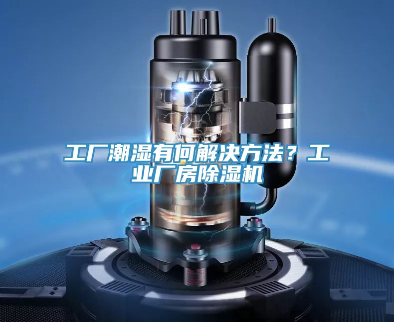 工廠潮濕有何解決方法？工業廠房蘑菇视频网站