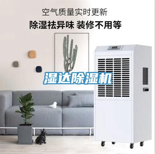 濕達蘑菇视频网站