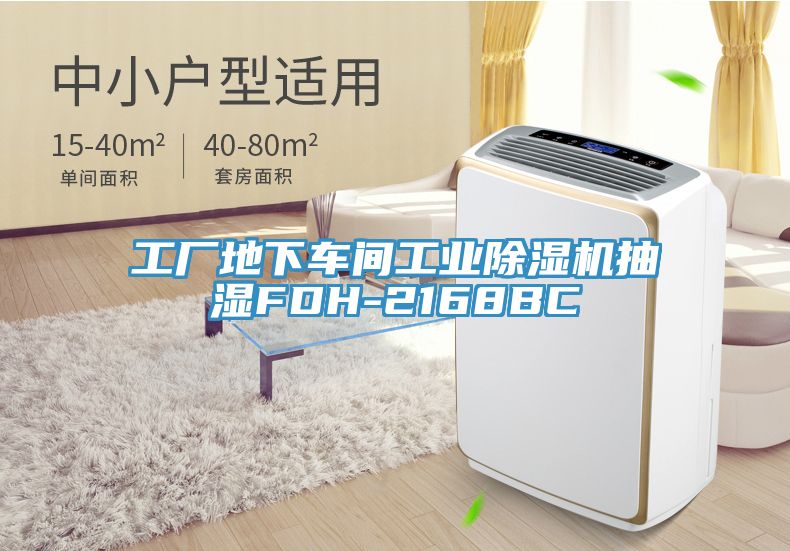 工廠地下車間工業蘑菇视频网站抽濕FDH-2168BC