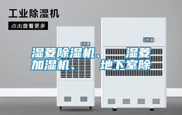 濕菱蘑菇视频网站、  濕菱加濕機、  地下室除