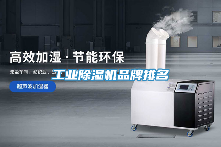 工業蘑菇视频网站品牌排名