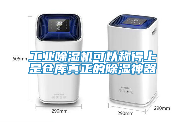 工業蘑菇视频网站可以稱得上是倉庫真正的除濕神器
