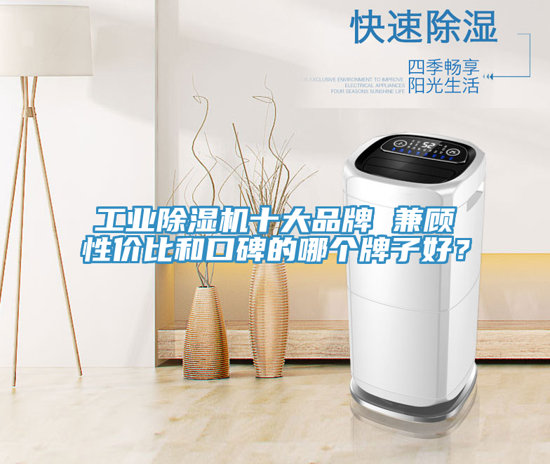 工業蘑菇视频网站十大品牌 兼顧性價比和口碑的哪個牌子好？
