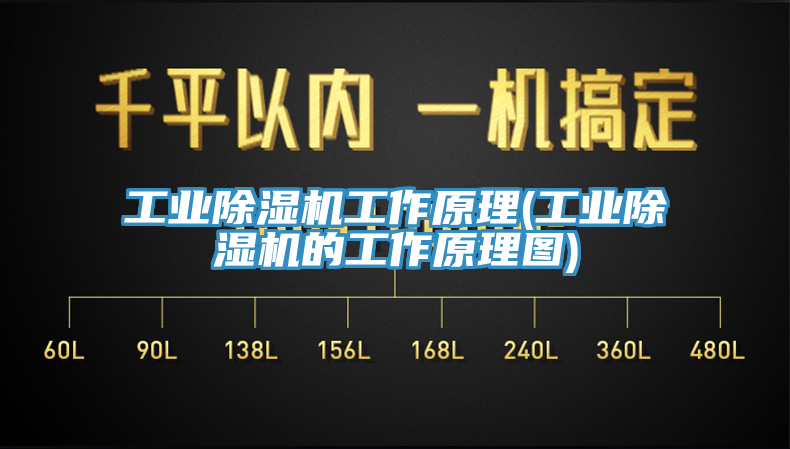 工業蘑菇视频网站工作原理(工業蘑菇视频网站的工作原理圖)