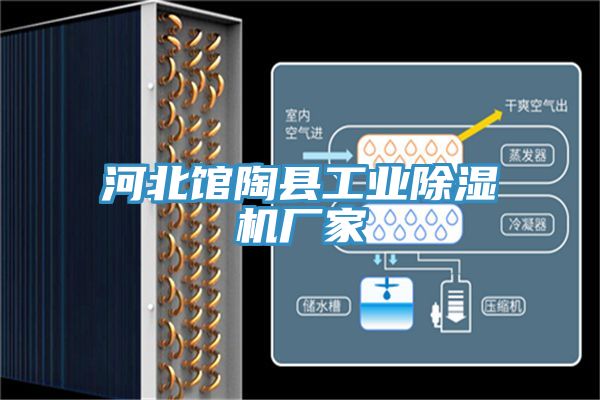 河北館陶縣工業蘑菇视频网站廠家