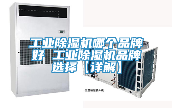 工業蘑菇视频网站哪個品牌好 工業蘑菇视频网站品牌選擇【詳解】