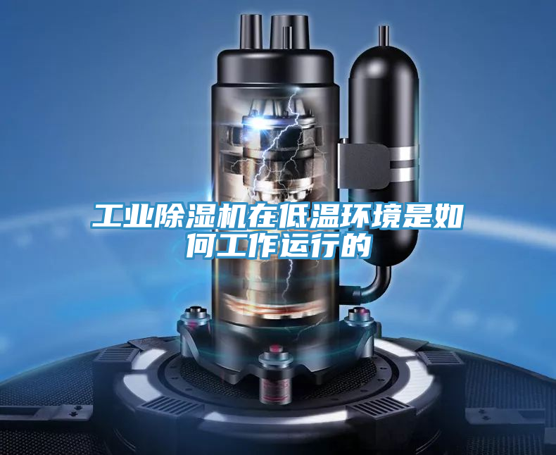 工業蘑菇视频网站在低溫環境是如何工作運行的