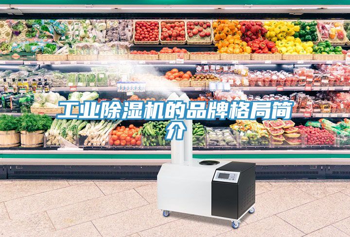 工業蘑菇视频网站的品牌格局簡介