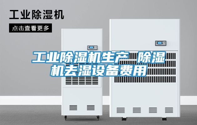 工業蘑菇视频网站生產 蘑菇视频网站去濕設備費用