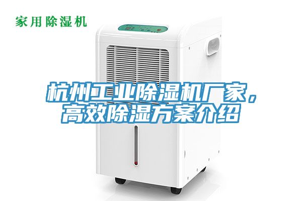 杭州工業蘑菇视频网站廠家，高效除濕方案介紹