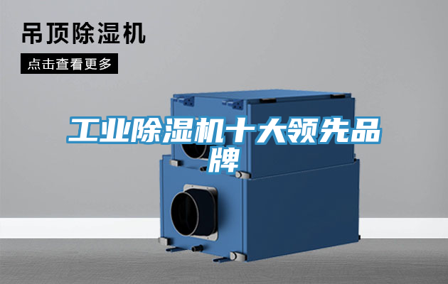 工業蘑菇视频网站十大領先品牌
