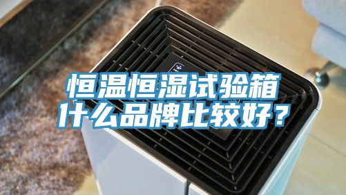 恒溫恒濕試驗箱什麽品牌比較好？
