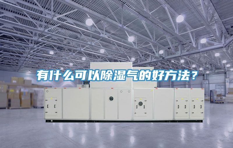 有什麽可以除濕氣的好方法？