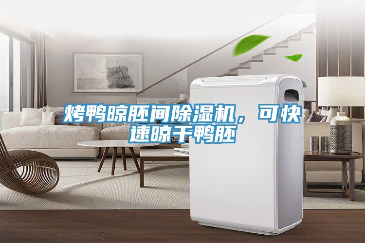 烤鴨晾胚間蘑菇视频网站，可快速晾幹鴨胚