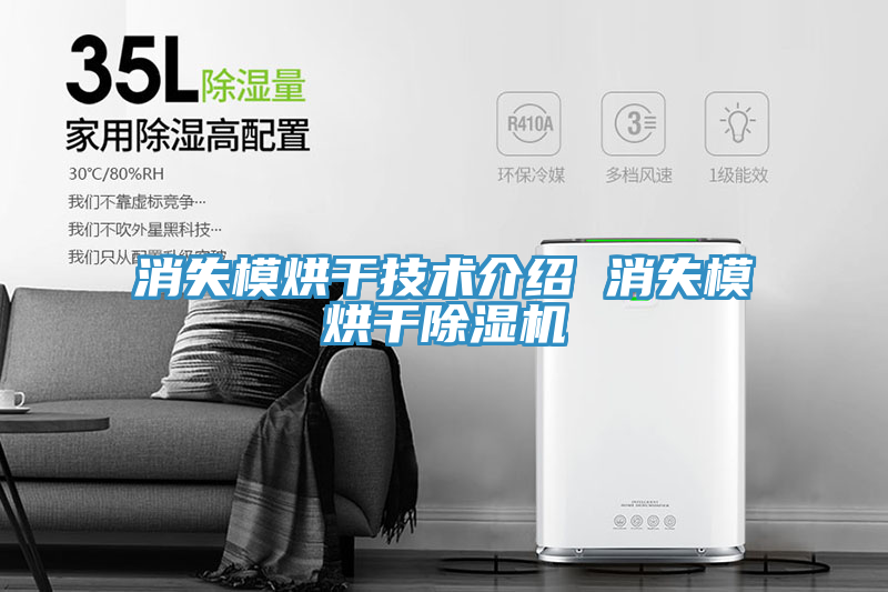 消失模烘幹技術介紹 消失模烘幹蘑菇视频网站