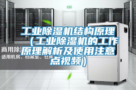 工業蘑菇视频网站結構原理（工業蘑菇视频网站的工作原理解析及使用注意點視頻）