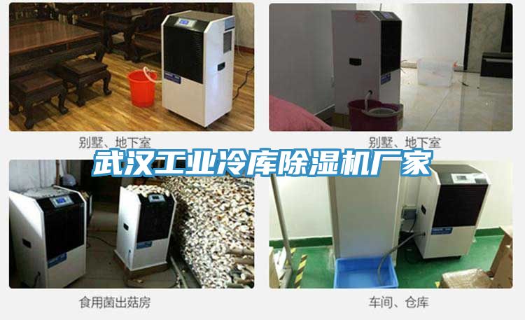 武漢工業冷庫蘑菇视频网站廠家