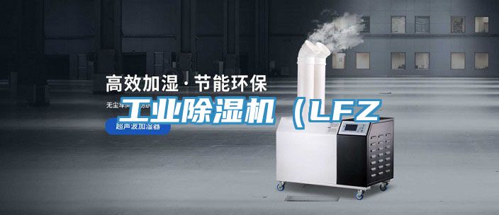 工業蘑菇视频网站（LFZ