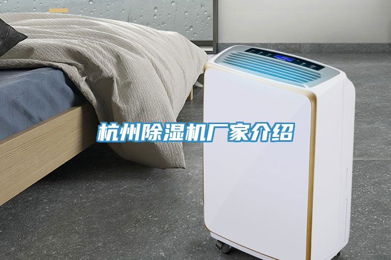 杭州蘑菇视频网站廠家介紹