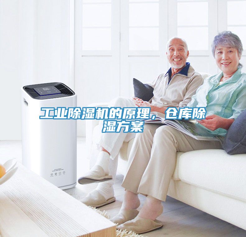 工業蘑菇视频网站的原理，倉庫除濕方案