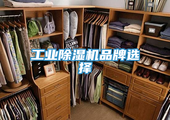 工業蘑菇视频网站品牌選擇