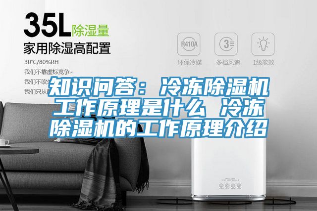 知識問答：冷凍蘑菇视频网站工作原理是什麽 冷凍蘑菇视频网站的工作原理介紹