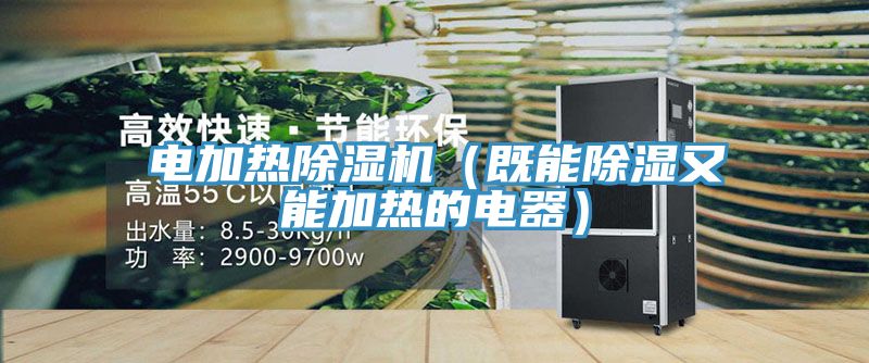電加熱蘑菇视频网站（既能除濕又能加熱的電器）