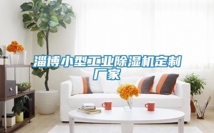 淄博小型工業蘑菇视频网站定製廠家