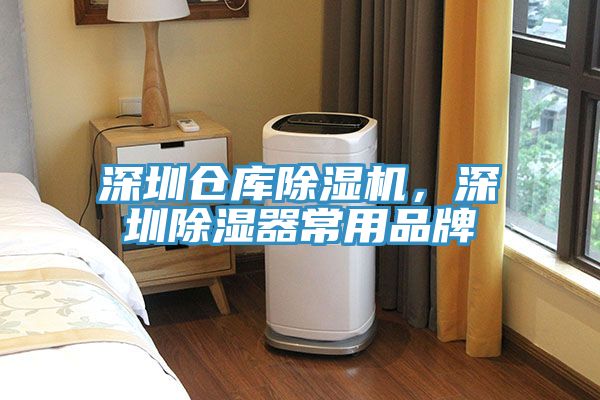 深圳倉庫蘑菇视频网站，深圳除濕器常用品牌