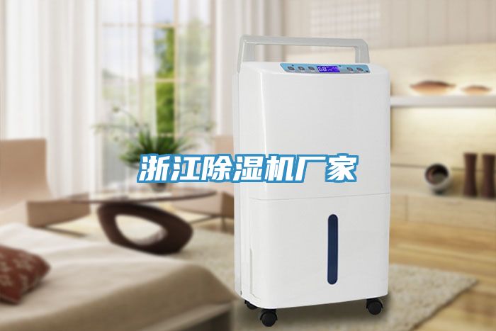 浙江蘑菇视频网站廠家