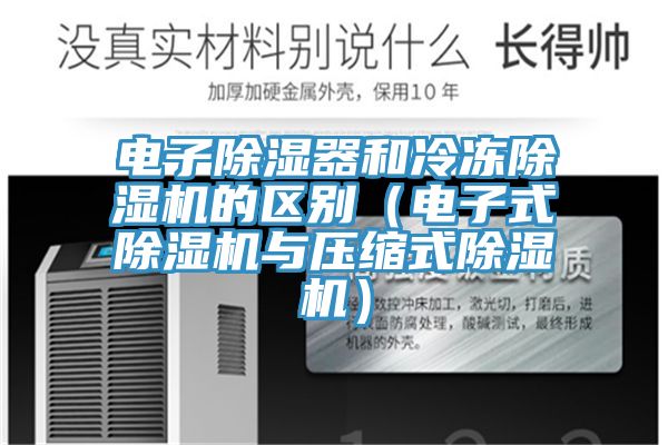 電子除濕器和冷凍蘑菇视频网站的區別（電子式蘑菇视频网站與壓縮式蘑菇视频网站）