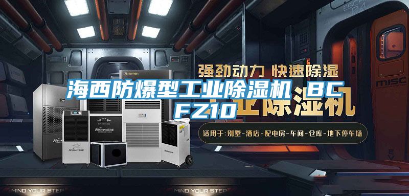 海西防爆型工業蘑菇视频网站 BCFZ10