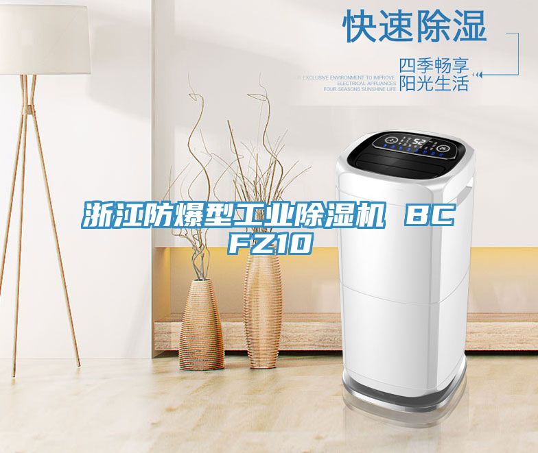 浙江防爆型工業蘑菇视频网站 BCFZ10