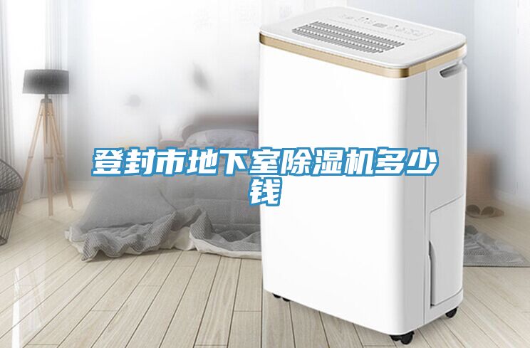 登封市地下室蘑菇视频网站多少錢