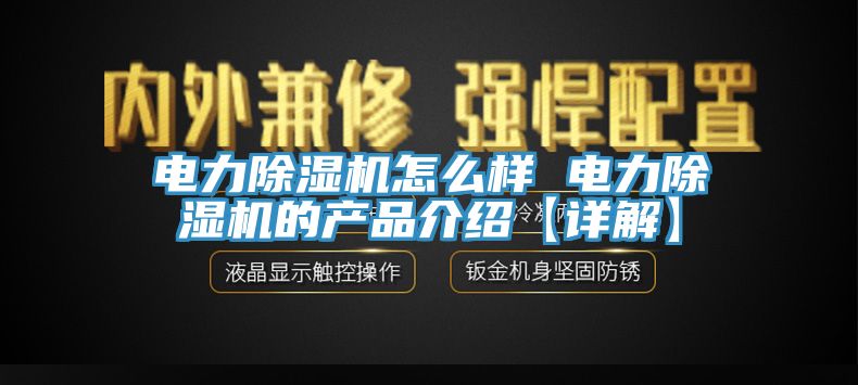 電力蘑菇视频网站怎麽樣 電力蘑菇视频网站的產品介紹【詳解】